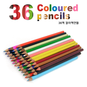 36색/24색 칼라 색연필(WDS-2197)