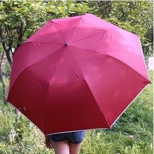 심플라인3단자동우산/민들레씨/도트 꽃무늬 3단 우산(WDS-5727)